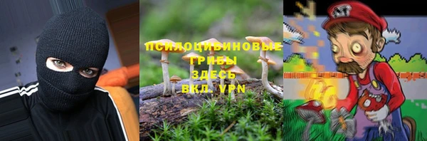 МДПВ Лагань