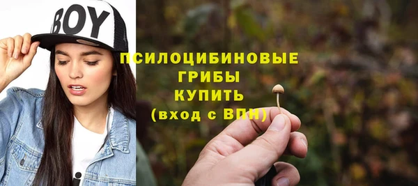 стаф Лабытнанги