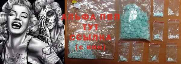 стаф Лабытнанги
