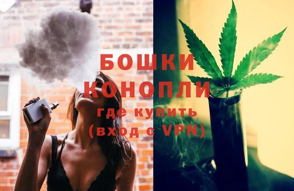 не бодяженный Ладушкин