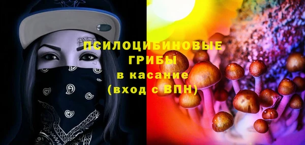 МДПВ Лагань