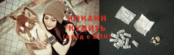 не бодяженный Ладушкин