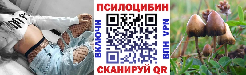 Купить где  Подпорожье  Галлюциногенные грибы Cubensis 